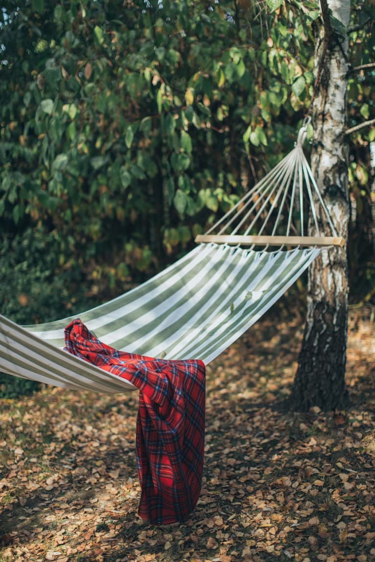 Exclusivity and Privacy